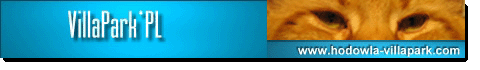 Baner hodowli kotw rasowych Maine Coon Villa Park*PL
