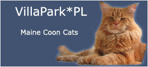 Baner hodowli kotw rasowych Maine Coon Villa Park*PL